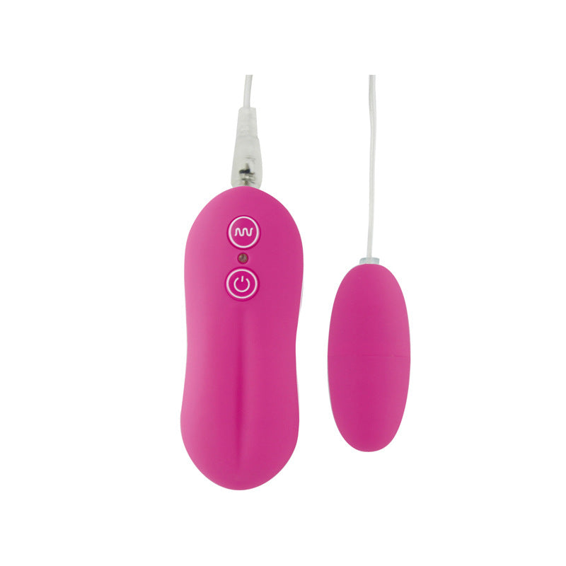 10 Function Egg Vibrator