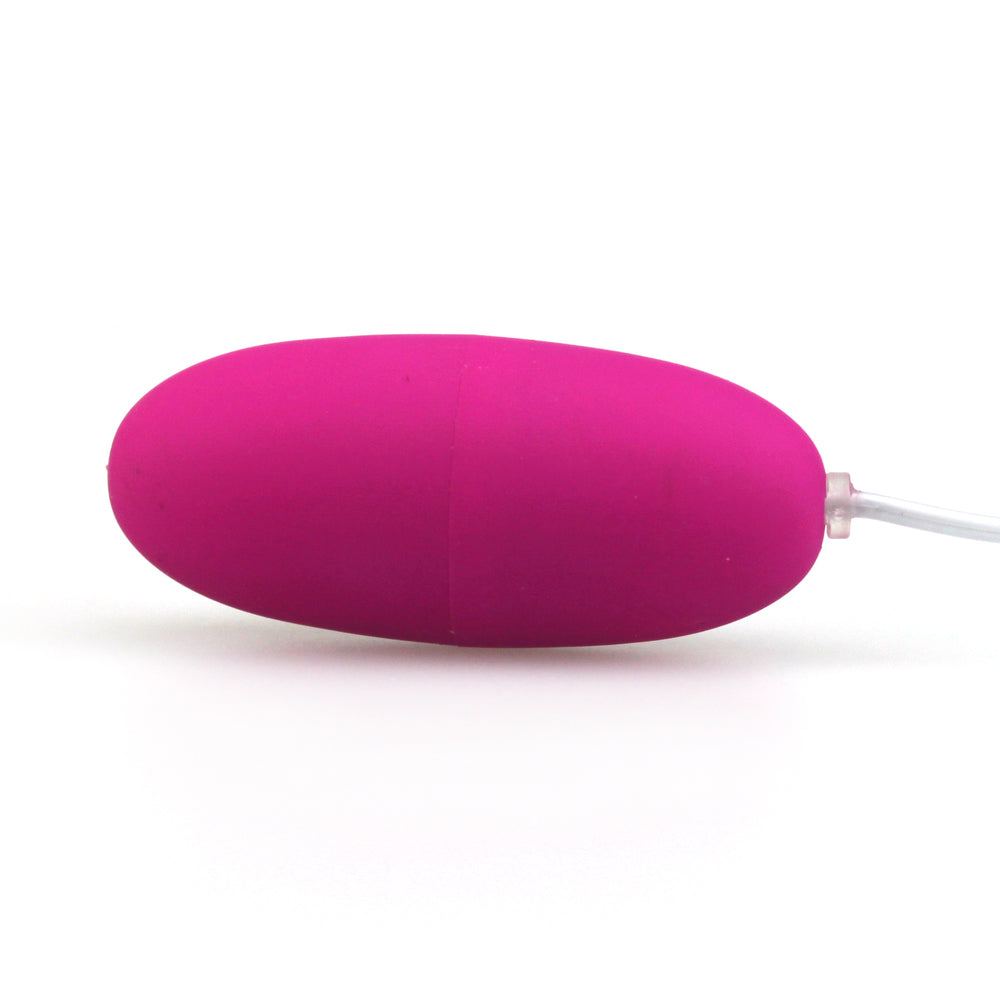 10 Function Egg Vibrator