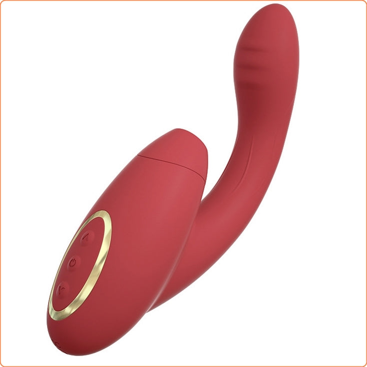 Suction And Vibration Vibrator